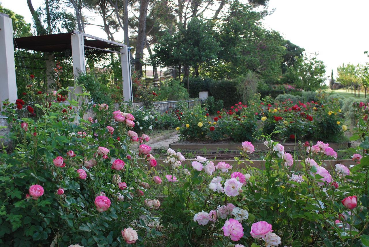 Chateau Sainte Colombe Bed & Breakfast Bagian luar foto